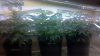 2011-10-03_23-50-49_448.jpg