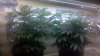 2011-10-03_23-48-33_941.jpg