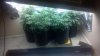 2011-10-04_01-53-04_243.jpg