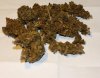 Loose 10-4-2011 7-14-25 PM.jpg