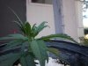 100_1329.jpg