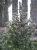 WP_003433.jpg
