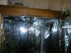 100_0250.jpg 100_0250.jpg
