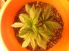 IMG_20111005_193714.jpg