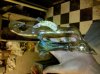 IMG_20111004_203618.jpg