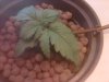 IMG00160-20111005-2228.jpg