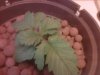 IMG00162-20111005-2228.jpg