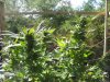 IMG_1744.JPG IMG_1744.JPG