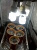 IMG_20111006_202853.jpg