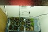 _MG_8559.jpg