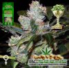 trainwreck_FEMINIZED.jpg