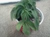 2011-10-08 16.50.17.jpg
