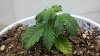 2011-10-06_21-01-46_569.jpg 2011-10-06_21-01-46_569.jpg