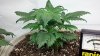 2011-10-08_22-45-21_221.jpg 2011-10-08_22-45-21_221.jpg