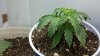 2011-10-06_21-01-41_371.jpg 2011-10-06_21-01-41_371.jpg