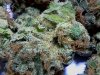 LA Cheese (17).jpg