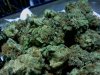 LA Cheese (10).jpg