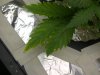 IMG-20111011-00139.jpg