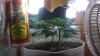 IMAG0156.jpg