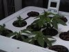 IMG00831-20111012-2034.jpg