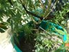 DSC01125.jpg