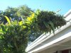 100_4535.jpg
