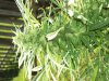 DSC02059.jpg