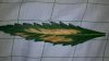2011-10-15_13-09-36_275.jpg