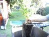 DSC01065.jpg