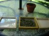 DSC01080.jpg