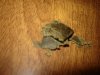 DSC01088.jpg