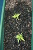 20070623_0329.jpg