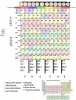 Organic Periodic Table.jpg