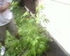Photo-0037.jpg