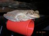 DSCN1347.jpg