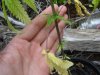 DSC04642.jpg