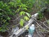 DSC04646.jpg
