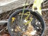 DSC04637.jpg