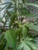 07-14-08_2341.jpg