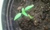 2011-10-17_10.57.19.jpg