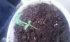 2011-10-17_10.57.33.jpg