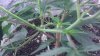 IMAG0188.jpg