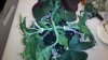 2011-10-12_14-48-09_499.jpg