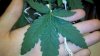2011-10-14_14-36-12_374.jpg