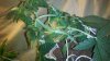 2011-10-14_14-42-45_260.jpg