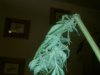 IMG_20111017_191330.jpg