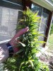 100_4596.jpg