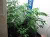 IMG_0407.jpg IMG_0407.jpg