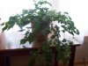 100_2174.jpg