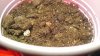 IMAG0158.jpg